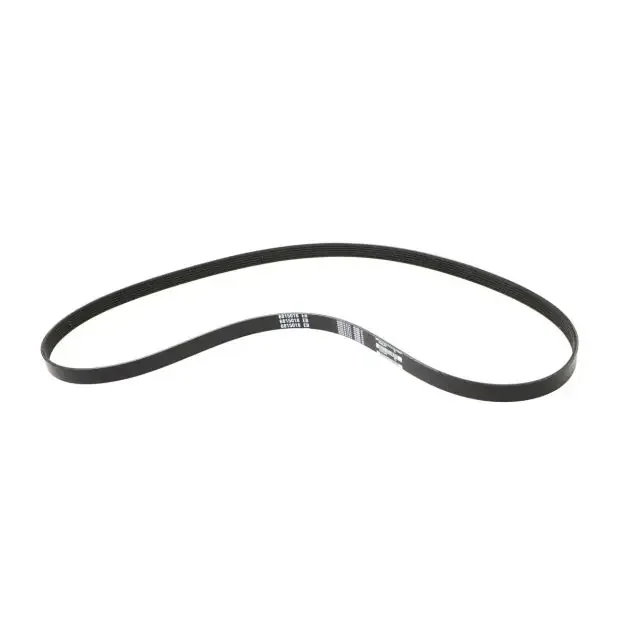 Belt Poly V, 6815018