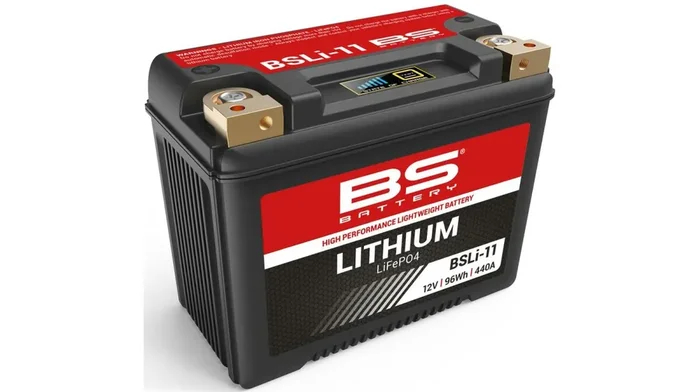 BS-BATTERY LiFePO4 Batterie „BSLI-11“ Ersetzt folg wartungsfrei