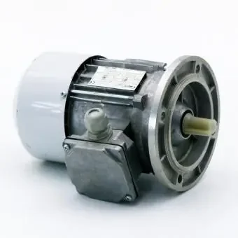 Cantoni Group Drehstrommotor