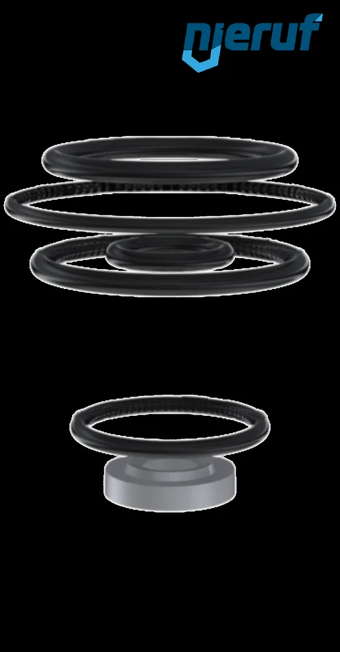 Dichtungssatz PTFE / EPDM DM21&DM22 DN15 – DN20, für Ausführung 0,3-2,0bar