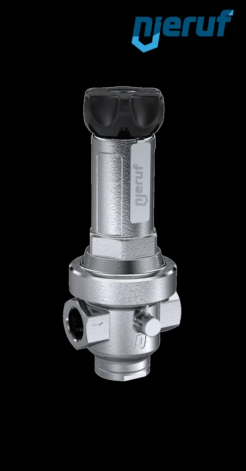 Druckregler 1″ Zoll EPDM Edelstahl