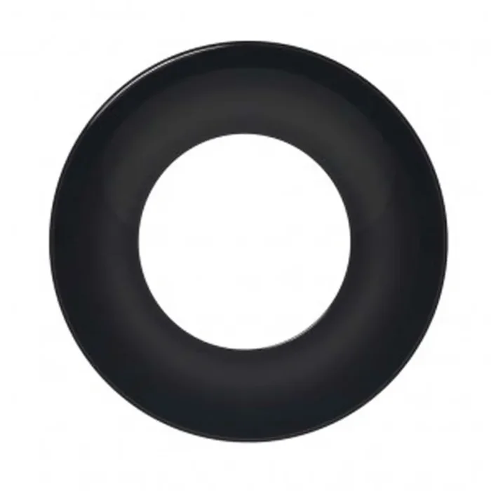 e-bike ring hebie für kettenschutz 317 für bosch active line und active line +