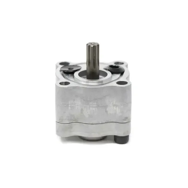 Gear Pump, 7009628