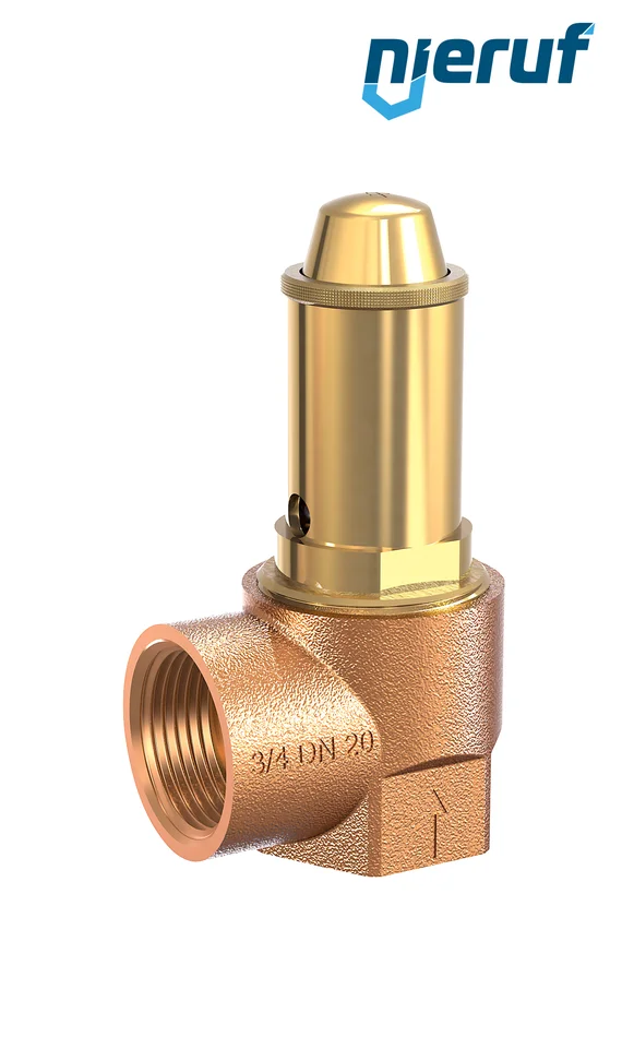 Membran-Sicherheitsventil 2″ x 2″ IG NBR