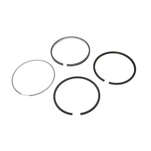 Ring Piston, 6678075