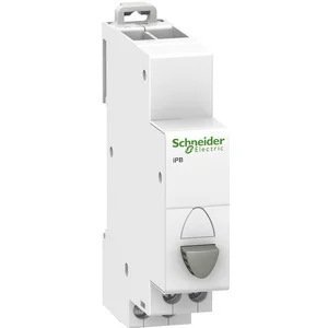 Schneider Electric Drucktaster iPB A9E18033