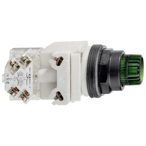 Schneider Electric Leuchtdrucktaster 9001SK2L35GH13