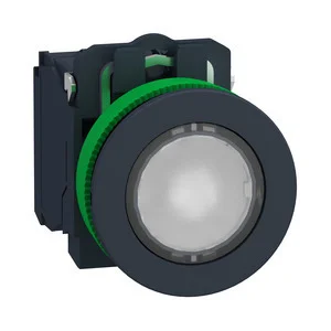 Schneider Electric Leuchtdrucktaster XB5FW31G5