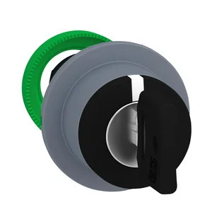 Schneider Electric Schlüsselschalter ZB5FG7C0