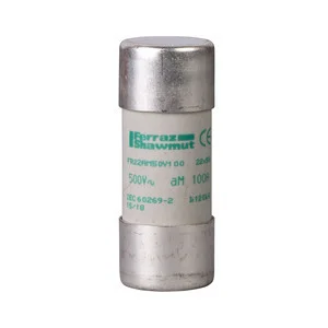 Schneider Electric Sicherungseinsatz DF2FA80