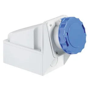 Schneider Electric Wandsteckdose 63A 81179