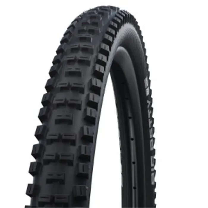 SCHWALBE Reifen „Big Betty“ Performance Line HS608, 2×50 EPI